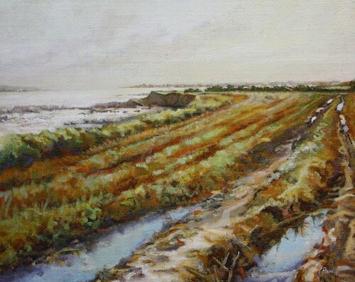 Rush From Drominagh , Loughshinny