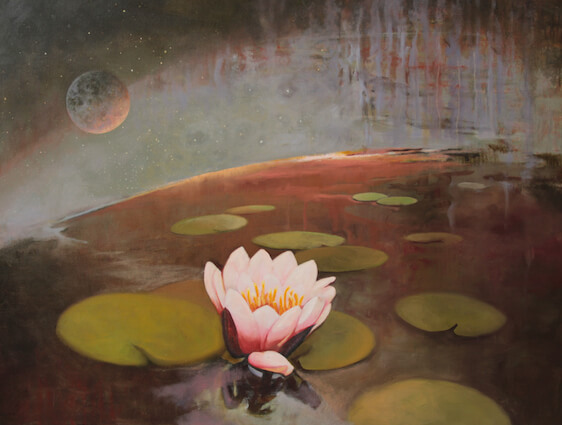 Crack Of Light On A Lily Pond