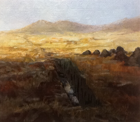 Sliced Bog , Connemara