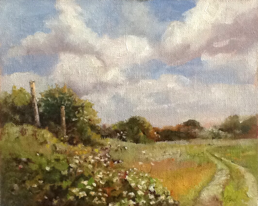Wilde's Field